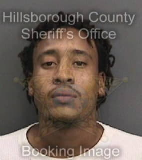 Lewis Maurice - Hillsborough County, Florida 