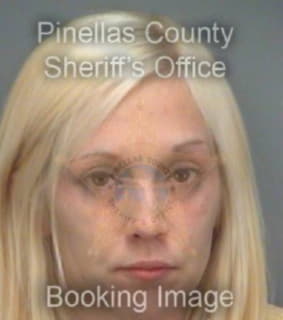 Dehart Brandi - Pinellas County, Florida 