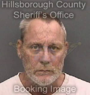 Driesse Scott - Hillsborough County, Florida 