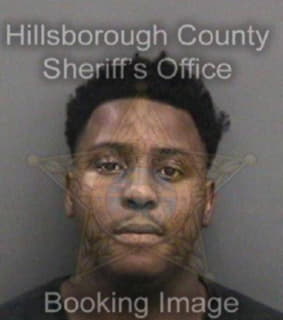 Michel Vlalvic - Hillsborough County, Florida 