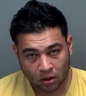 Reddy Anil - Pinellas County, Florida 