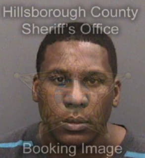 Anderson Camilo - Hillsborough County, Florida 