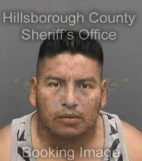 Mendezruiz Domingo - Hillsborough County, Florida 