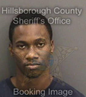 Cobb Joshua - Hillsborough County, Florida 