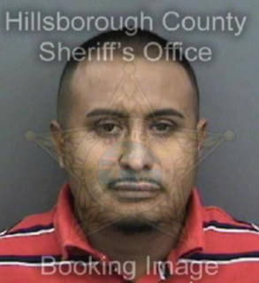 Lealramirez Luis - Hillsborough County, Florida 