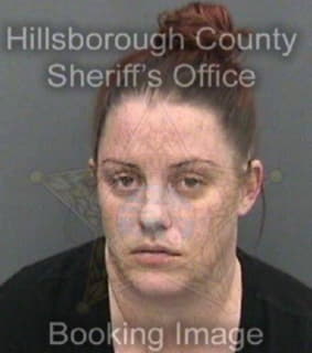 Blazek Morgan - Hillsborough County, Florida 