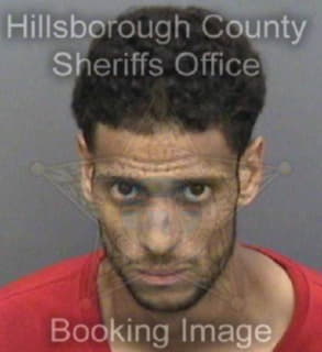 Rodriguezayala Pierre - Hillsborough County, Florida 