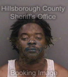 Williams Roger - Hillsborough County, Florida 