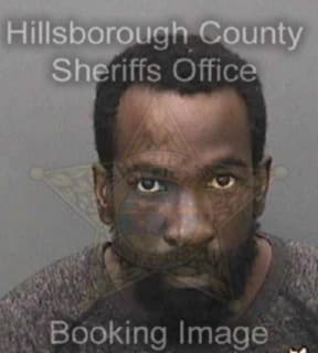 Mckinnon Frederick - Hillsborough County, Florida 