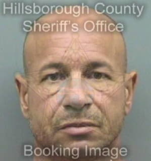 Melendres Jorge - Hillsborough County, Florida 