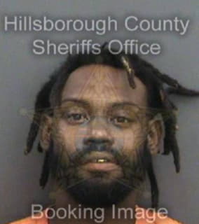 Mitchell Kenneth - Hillsborough County, Florida 