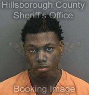 Mcgriff Nathan - Hillsborough County, Florida 