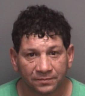 Delgado Reynaldo - Pinellas County, Florida 