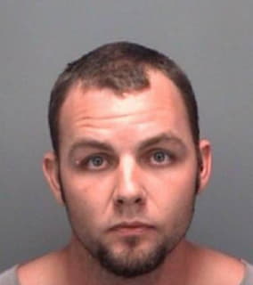 Mcalister Aaron - Pinellas County, Florida 