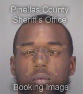 Williams Arthur - Pinellas County, Florida 