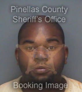 Mcneil Quentin - Pinellas County, Florida 