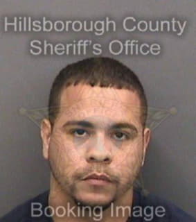 Martinez Raymond - Hillsborough County, Florida 