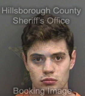 Beck Christopher - Hillsborough County, Florida 