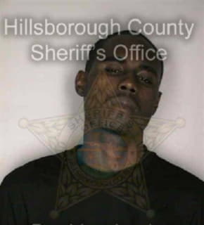 Patterson Eric - Hillsborough County, Florida 