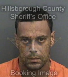 Ruiz Hector - Hillsborough County, Florida 