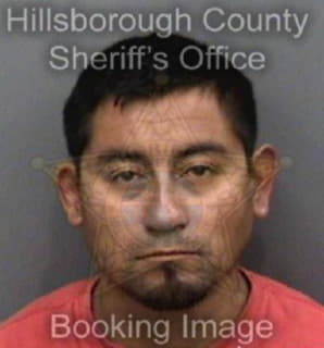 Calixtoperez Israel - Hillsborough County, Florida 