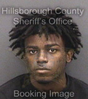 Weller Joshua - Hillsborough County, Florida 