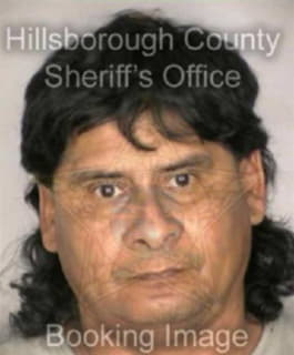 Lopez Michael - Hillsborough County, Florida 