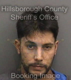 Diaz Paul - Hillsborough County, Florida 