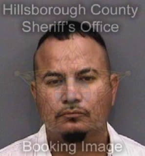 Rodriguez Pedro - Hillsborough County, Florida 