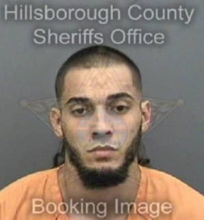 Oyangurenrosado Carlos - Hillsborough County, Florida 