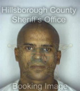 Deleon David - Hillsborough County, Florida 