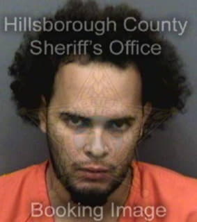 Lopezrodriguez James - Hillsborough County, Florida 