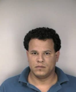 Diaz Ramon - Hillsborough County, Florida 