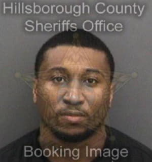 Rodriguez Michael - Hillsborough County, Florida 