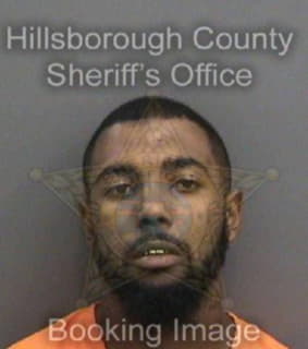 Laurentmorales Treslyn - Hillsborough County, Florida 