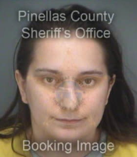Knapp Jennifer - Pinellas County, Florida 