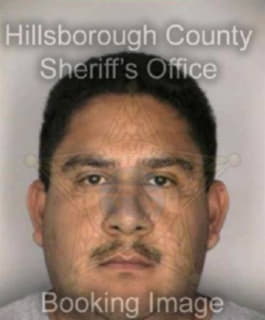 Delacruzgarcia Juan - Hillsborough County, Florida 