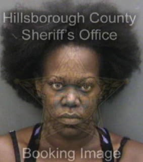 Williams Kimberly - Hillsborough County, Florida 