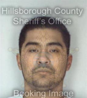 Cruz Leonel - Hillsborough County, Florida 