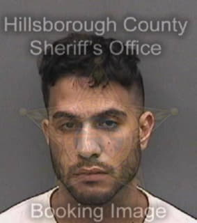 Lopez Anthony - Hillsborough County, Florida 