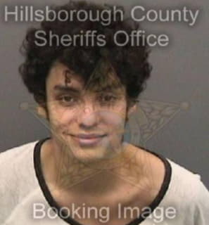 Melendez Daniel - Hillsborough County, Florida 