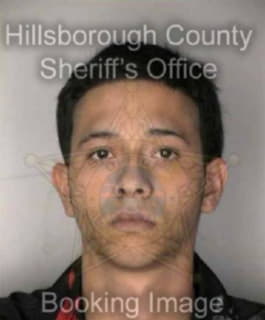 Perezfigueroa Dennis - Hillsborough County, Florida 