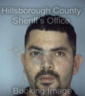 Dejesus Jaime - Hillsborough County, Florida 