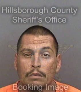 Johnson Joshua - Hillsborough County, Florida 