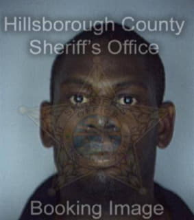 Davis Anthony - Hillsborough County, Florida 