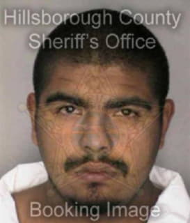 Carrillo David - Hillsborough County, Florida 