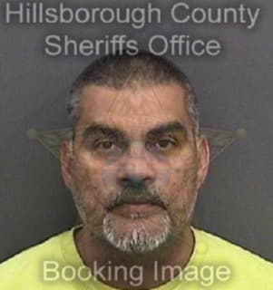 Gonzalez Juan - Hillsborough County, Florida 