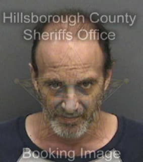 Diaz David - Hillsborough County, Florida 