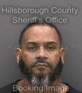 Camacho Louis - Hillsborough County, Florida 