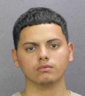 Mejia Carlos - Broward County, Florida 